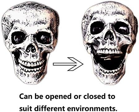 528620441